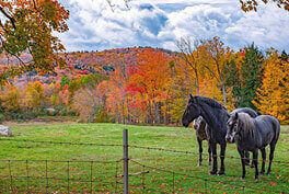 Did You Know? Vermont Edition